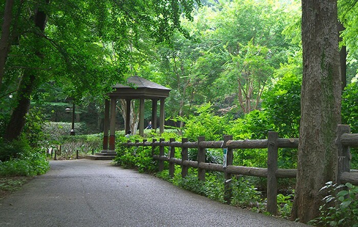 林試の森公園(公園)まで650m レクス武蔵小山