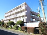 プラザイワモト