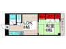 芳泉ビル 1LDKの間取り