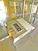 その他 サリシャン市川