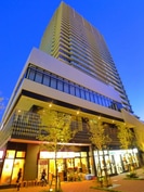 ライオンズタワー柏(503)の外観