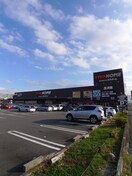 ビバホーム(電気量販店/ホームセンター)まで550m パラシオンＡ