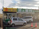 業務スーパーリカーキング四谷店(ディスカウントショップ)まで500m ﾄﾞﾐｰﾙ叶谷