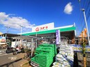 コメリ(電気量販店/ホームセンター)まで262m メイゾン・アサＡ棟