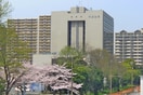 千葉銀行(銀行)まで655m Ｐｒｉｍｅ Ｈｉｌｌｓ 千葉ｼﾃｨ
