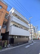 フェリアアサミの外観