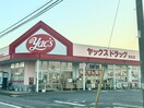 ヤックスドラッグ若松店(ドラッグストア)まで74m パティオス若葉
