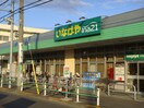 いなげや　調布染地店(スーパー)まで556m ハイツＫ・Ｋ