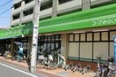 コープみらい　日野駅前店(スーパー)まで145m ハイツシャルム