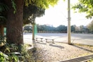宮崎第一公園(公園)まで950m プラネット宮崎台