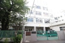 指ケ谷小学校(小学校)まで471m ルネサンスコート文京白山