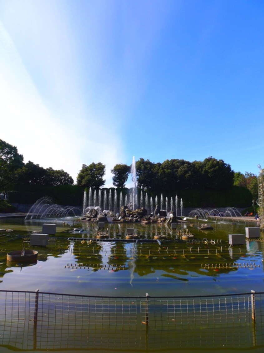 北浦和公園(公園)まで350m プロスペクト浦和常盤