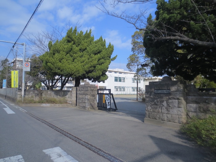 蘇我小学校(小学校)まで313m 蘇我ビル