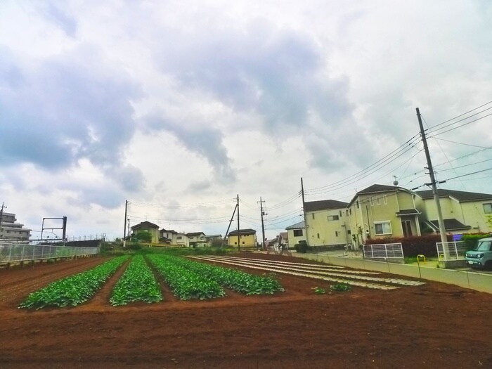 室内からの展望 リヴェール松戸