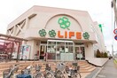 ライフ赤塚店(スーパー)まで310m アルファコート下赤塚