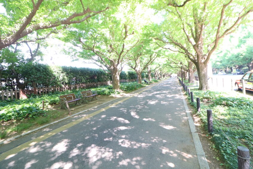 いちょう並木(公園)まで1000m HJ PLACE JINGUGAIEN