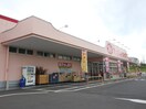 ヤックスドラッグ(ドラッグストア)まで750m Ｔ＆ＭⅢ