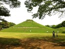 川和富士公園(公園)まで192m グランドパーク