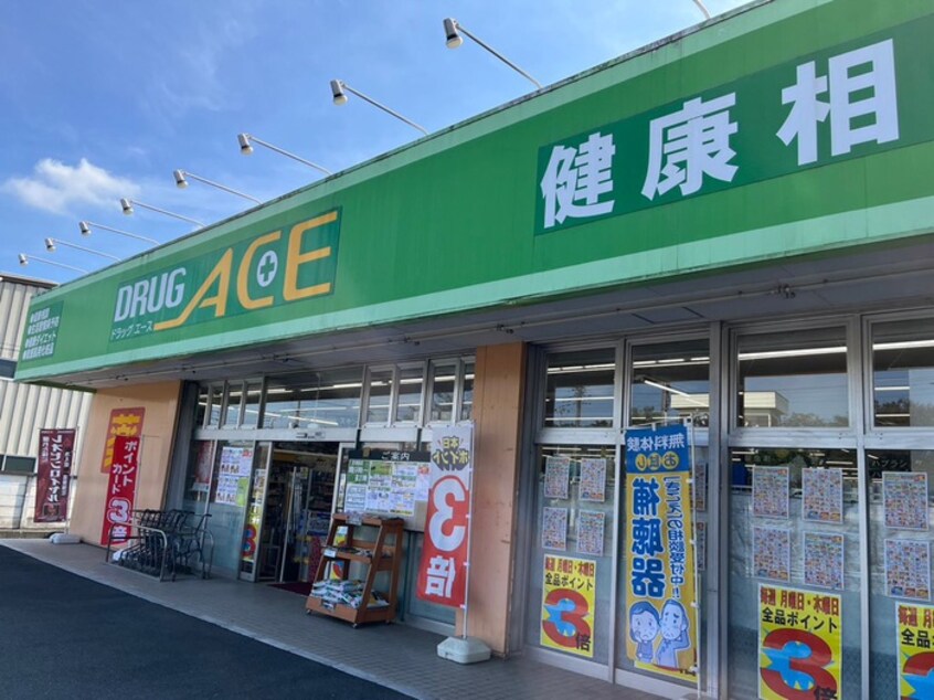 ドラッグエース小谷田店(ドラッグストア)まで850m サンハイツ仏子