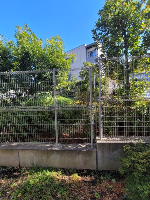 周辺環境 ヴィラ扇山