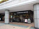 スターバックスコーヒー(カフェ)まで339m スカイハイツ奥沢(401)