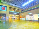 柏モディ(スーパー)まで810m プリエ－ル