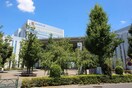 日本体育大学世田谷キャンパス(大学/短大/専門学校)まで700m 駒沢５１４マンション
