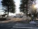 向陽小学校(小学校)まで290m ＶＩＣＴＯＩＲＥ