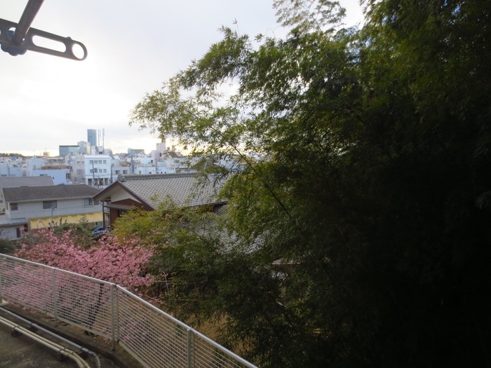 室内からの展望 エアフォルク大倉山