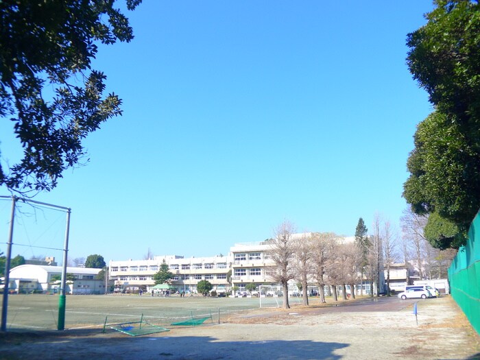 緑町中学校(中学校/中等教育学校)まで940m Kolet千葉稲毛#05