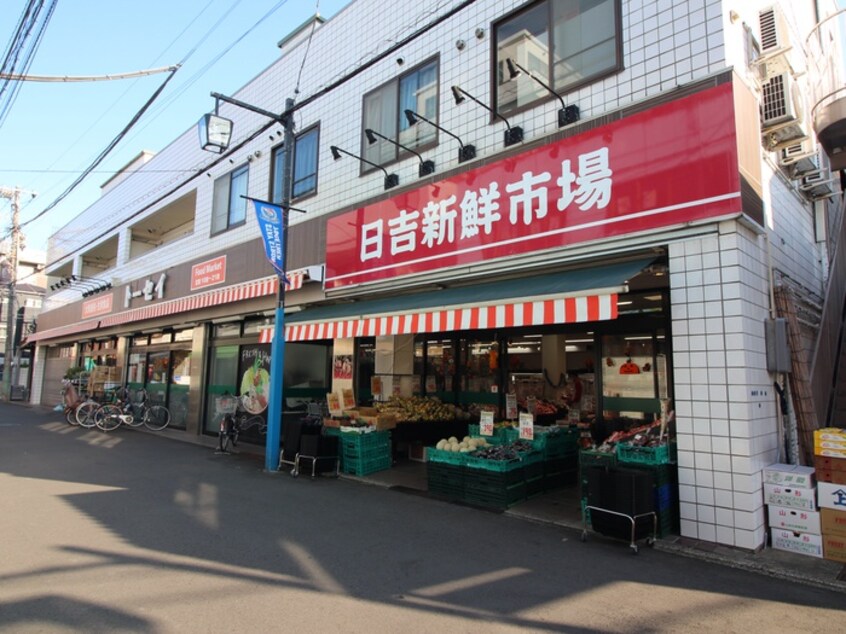 トーセー日吉本町店(スーパー)まで320m メゾン　アム－ル