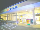 クリエイトＳＤ　柏松ケ崎店(ドラッグストア)まで258m エスポア－ル如春堂
