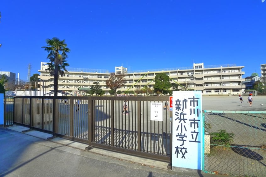 新浜小学校(小学校)まで188m アブニ－ルサクマ