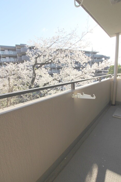ベランダ・バルコニー フォレスト戸田公園