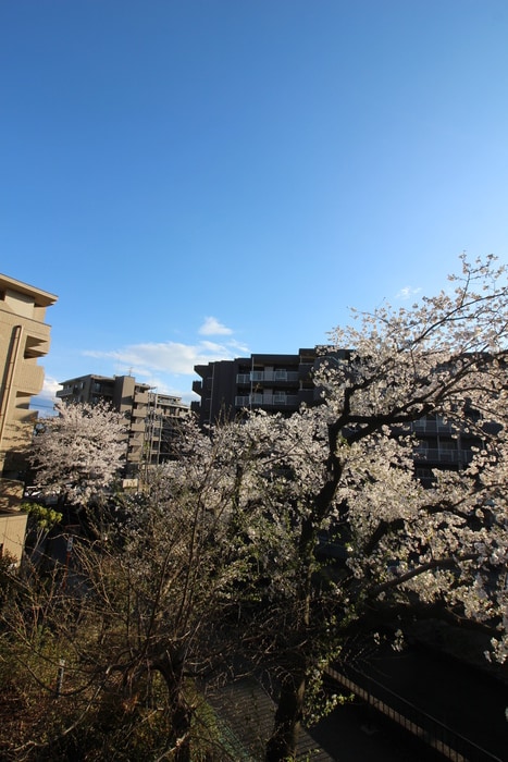 室内からの展望 フォレスト戸田公園