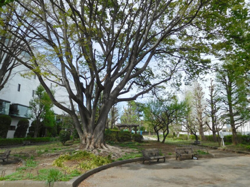 錦中央公園(公園)まで500m パ－クアベニュ－立川Ｂ