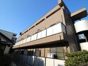 完成写真