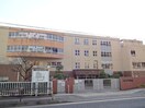 柿生小学校(小学校)まで450m 寺台ハイツ