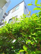 その他 プチオールアルサ