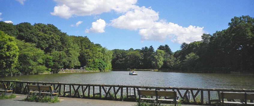 善福寺公園(公園)まで320m ハイムビュー