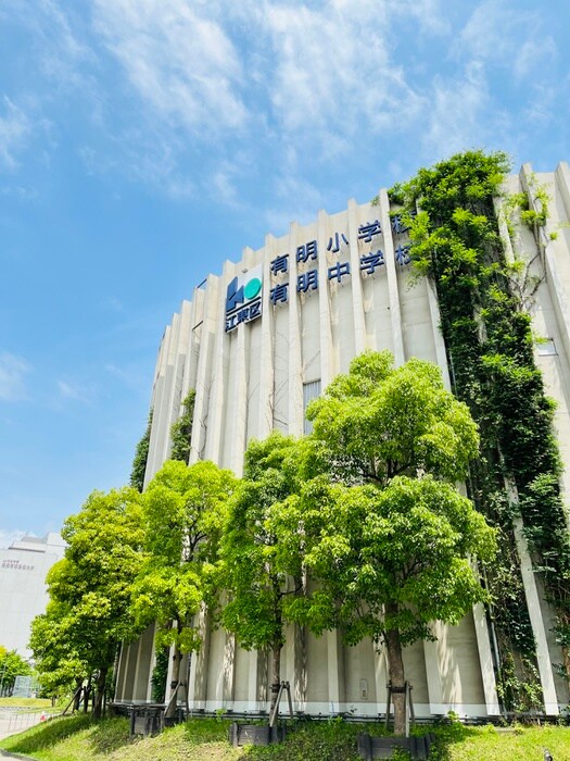 有明小学校(小学校)まで1000m BrilliaMare有明TOWER＆GARDEN