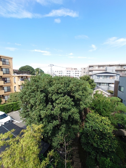 室内からの展望 Bamboo House