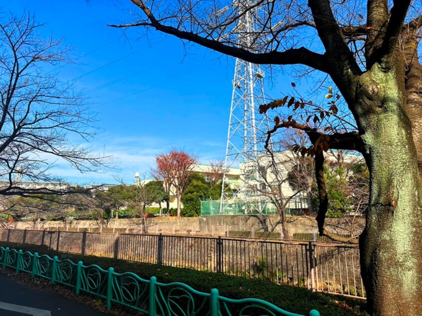 周辺環境 ロワール成瀬