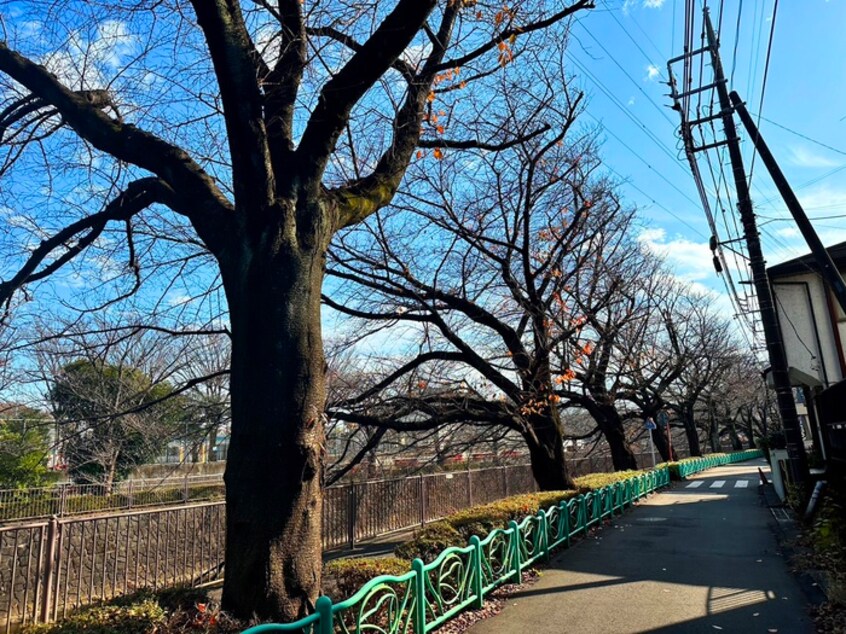 その他 ロワール成瀬