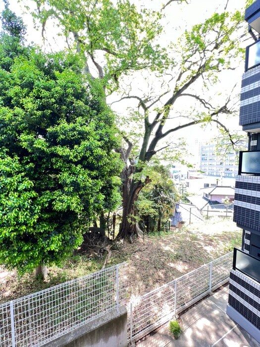 室内からの展望 アートスペース横浜