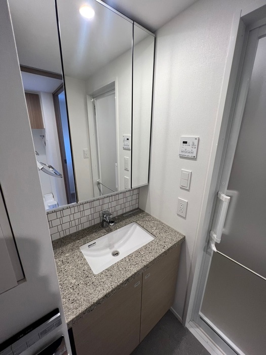 洗面 ザ・パークハビオ上北沢