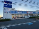 ノジマ(電気量販店/ホームセンター)まで750m グリーンハイツＡ