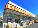 ドラッグぱぱす西新小岩店（ペット用品もあります！）(ドラッグストア)まで130m ＥハウスⅤ