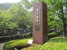 私立東京薬科大学(予備校)まで2000m エントピア田代