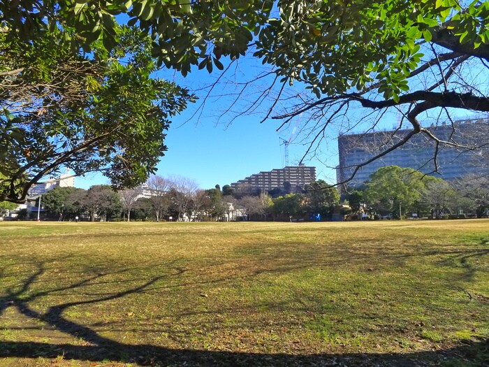 稲毛東公園(公園)まで260m トライアングル